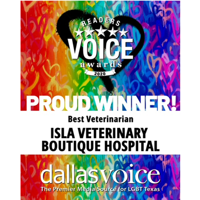 dallas-voice-2020-best-vet-award
